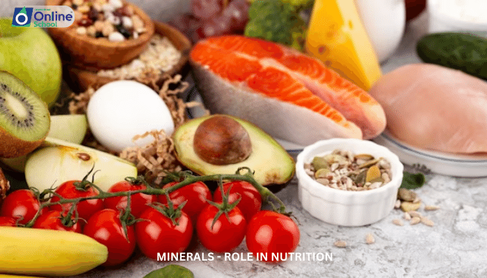 Lesson 16: Minerals - Role in Nutrition